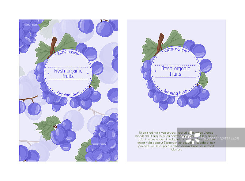 手绘葡萄酒食用葡萄卡片图片素材