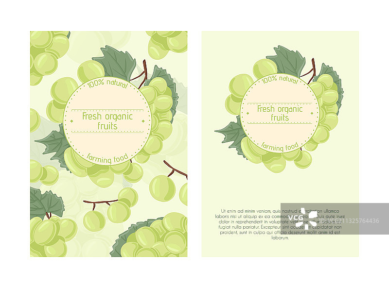 手绘葡萄酒食用葡萄卡片图片素材