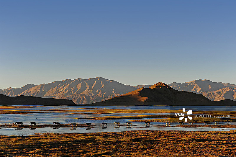 班公湖图片素材