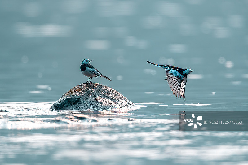 重庆生态环境——綦河风光图片素材
