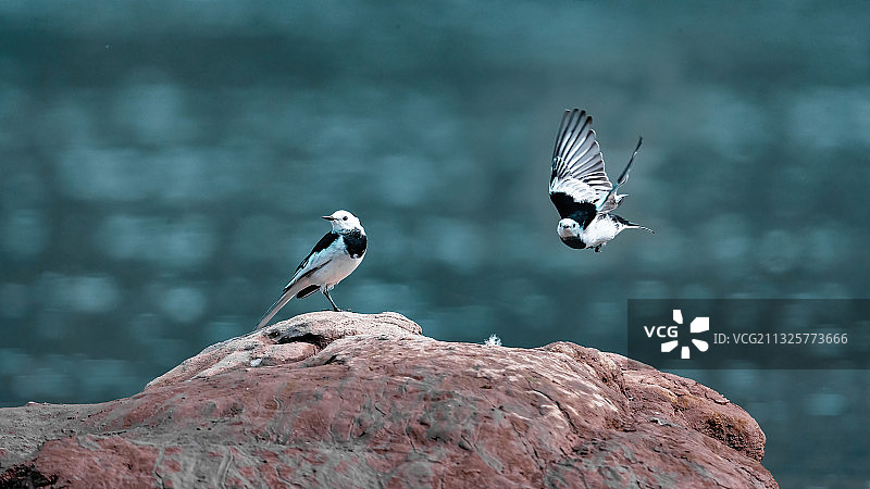 重庆生态环境——綦河风光图片素材