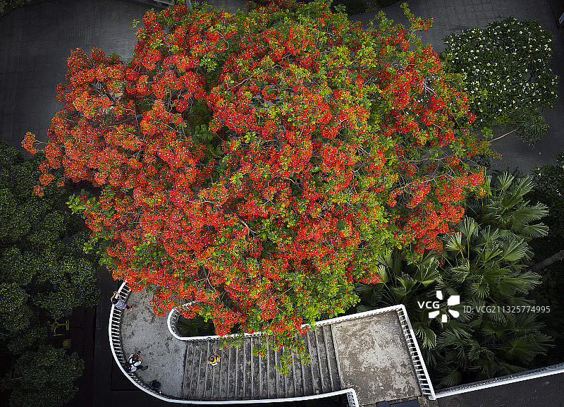 广州市城市风光图片素材