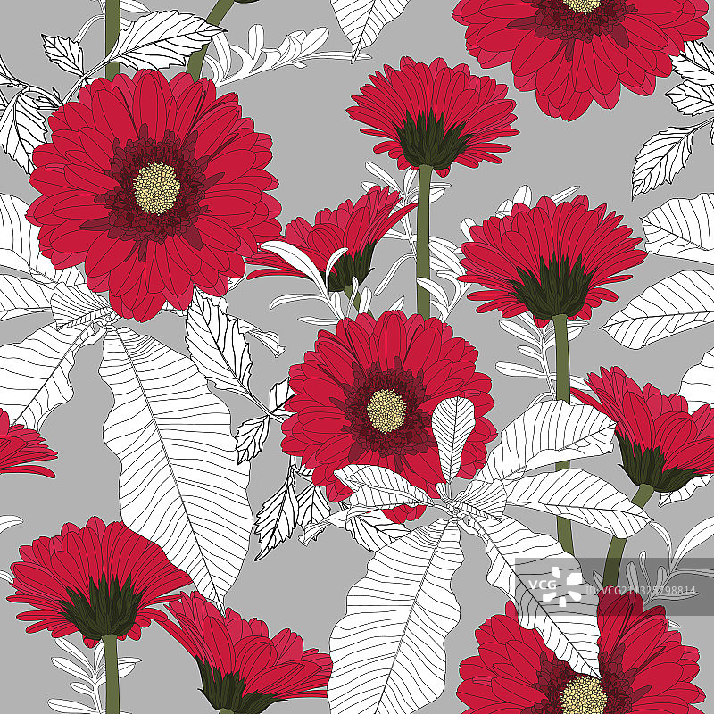 非洲菊鲜花无缝图案图片素材