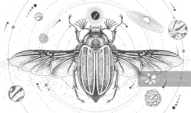 带有太阳系和六月甲虫的巫术卡片图片素材