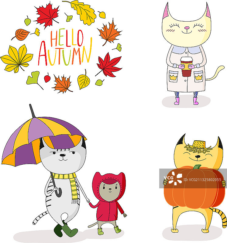 秋日落叶中的可爱猫咪和引语图片素材