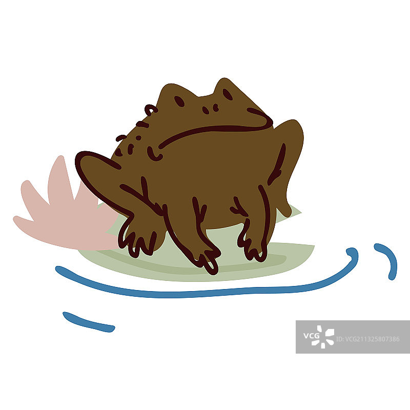 池塘睡莲上的可爱卡通青蛙线条画图片素材