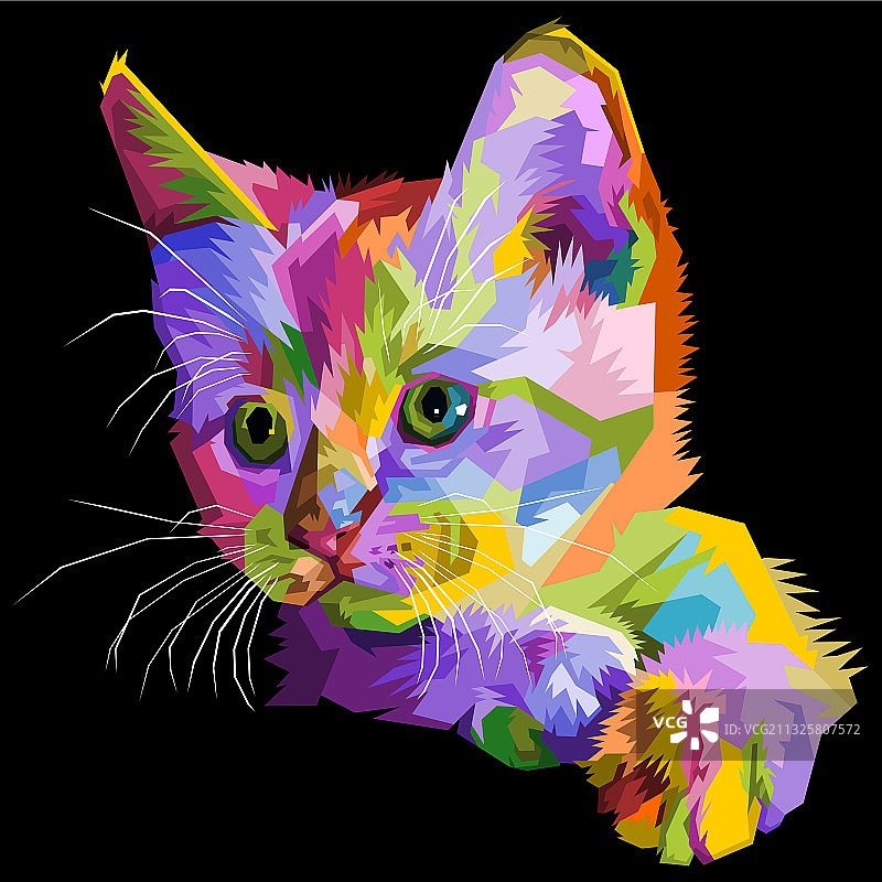 白色背景上的彩色猫图片素材