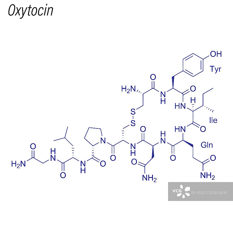 催产素药物化学骨架式图片素材