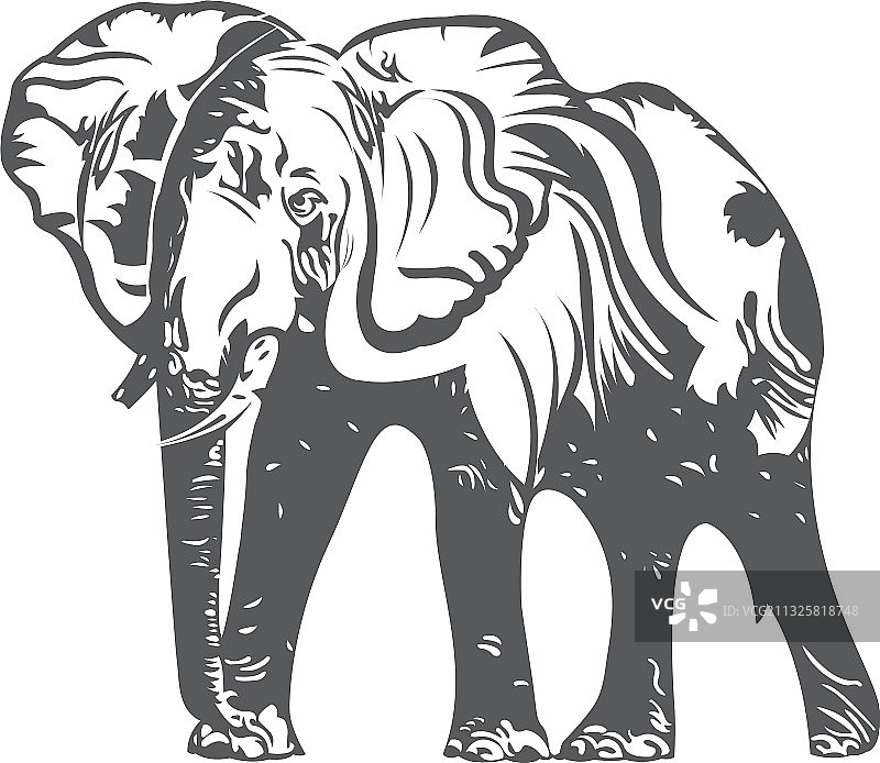 动物大象图片素材