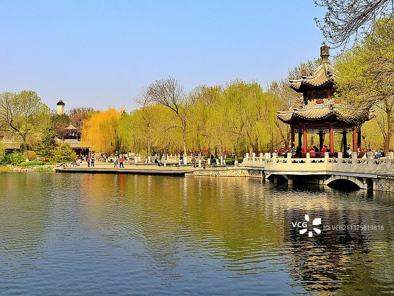 杨柳依依（天津北宁公园）图片素材