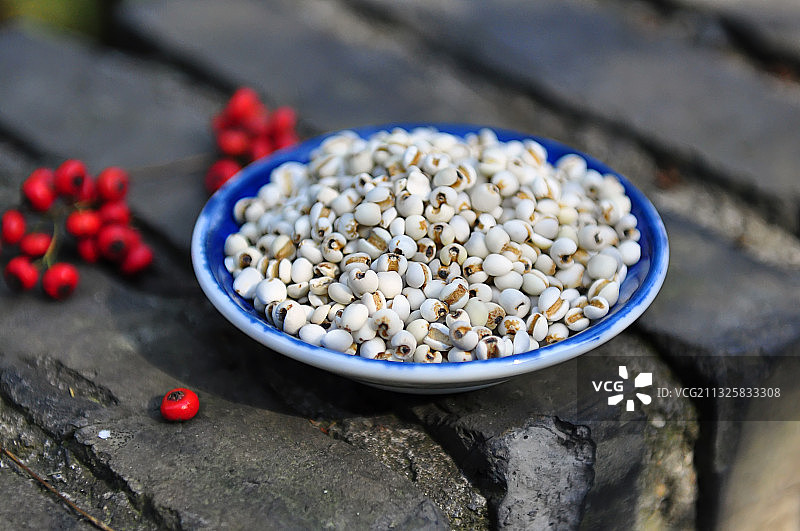 薏米，薏仁图片素材