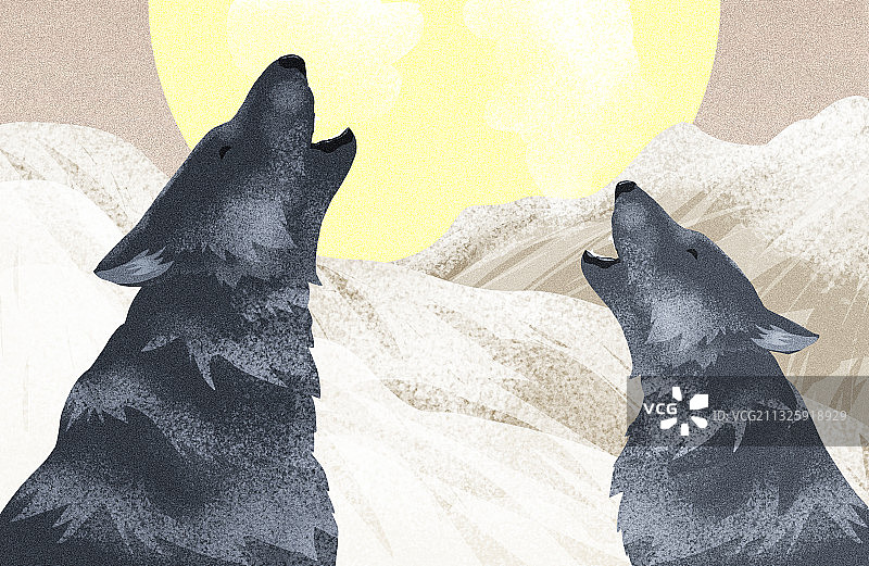 满月昂头嚎叫的狼图片素材