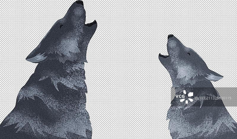 狼元素图片素材