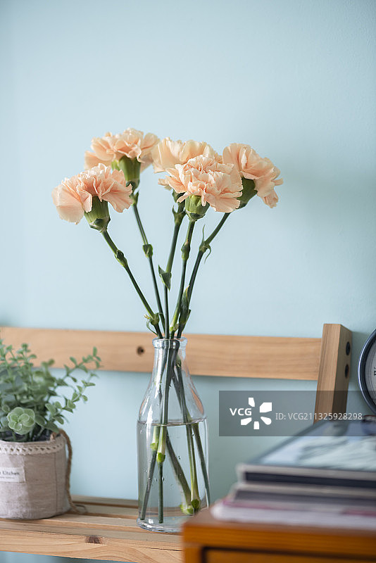 木椅上花瓶里的康乃馨图片素材