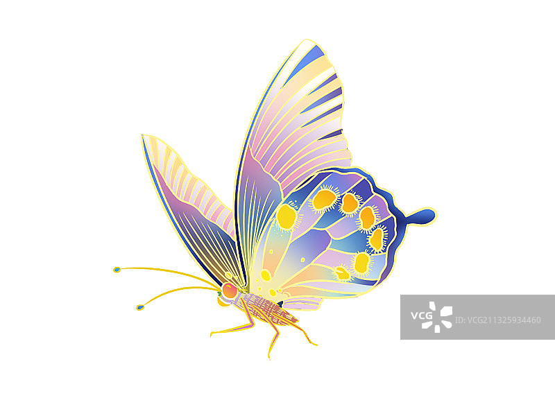 蝴蝶国潮国风手绘插画元素图片素材