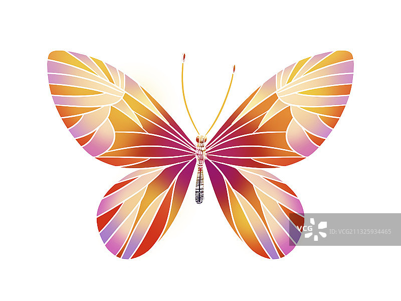 蝴蝶国潮国风手绘插画元素图片素材