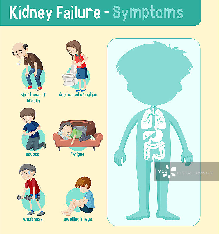 肾功能衰竭症状信息图图片素材