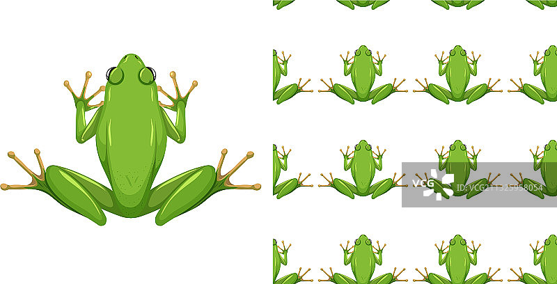 孤立在白色背景上的美国绿树蛙图片素材