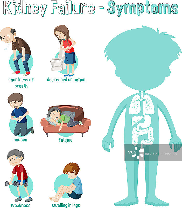 肾功能衰竭症状信息图图片素材