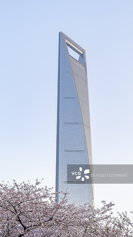 樱花与上海环球金融中心图片素材