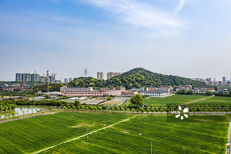 杭州临平区塘栖镇超山风景名胜区图片素材