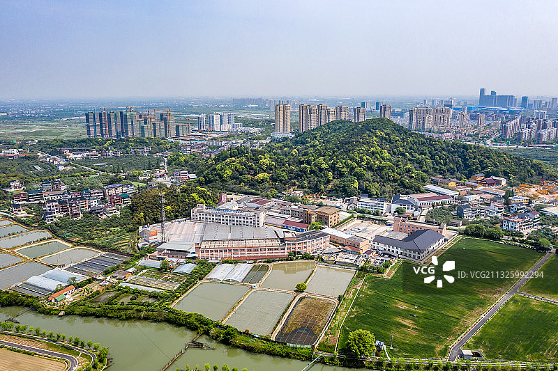 杭州临平区塘栖镇超山风景名胜区图片素材