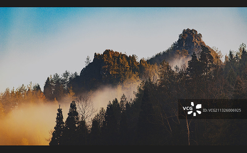 杨柳池晨雾图片素材