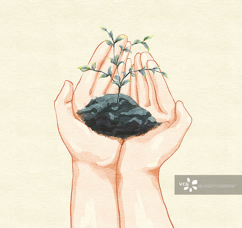 手捧小树图片素材