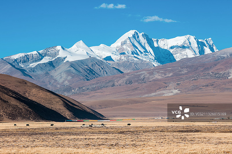 西藏当雄县的草原，远处是念青唐古拉山图片素材