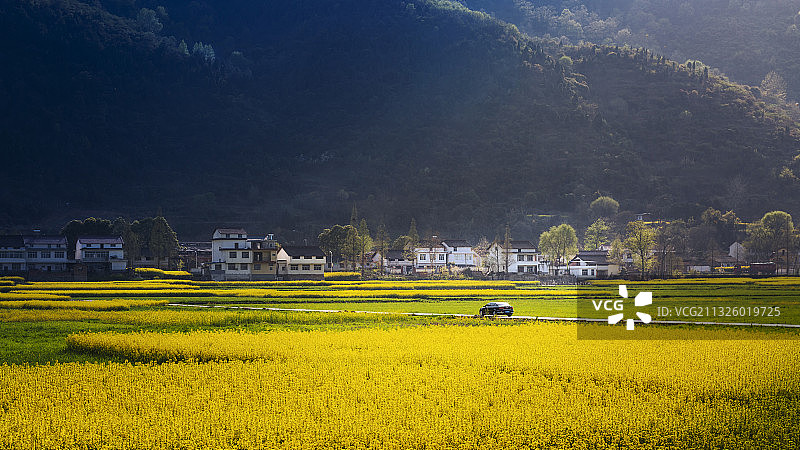 光影里的乡村图片素材