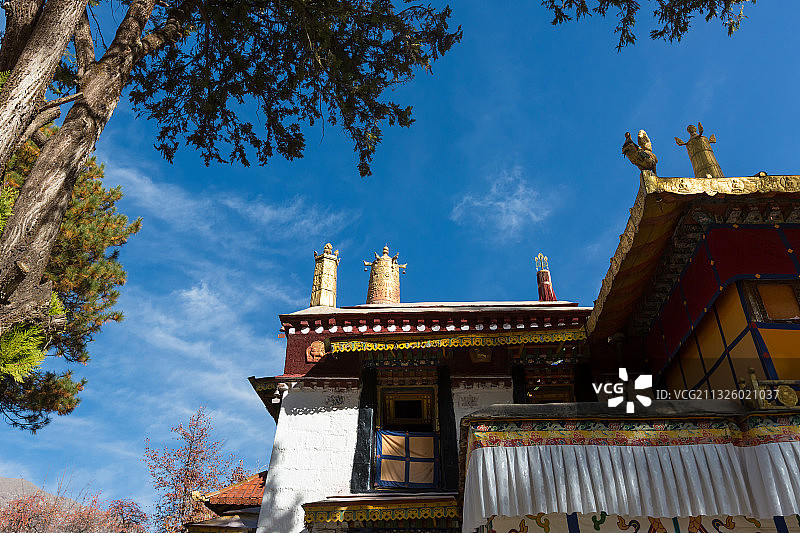 西藏罗布林卡景区的风景图片素材