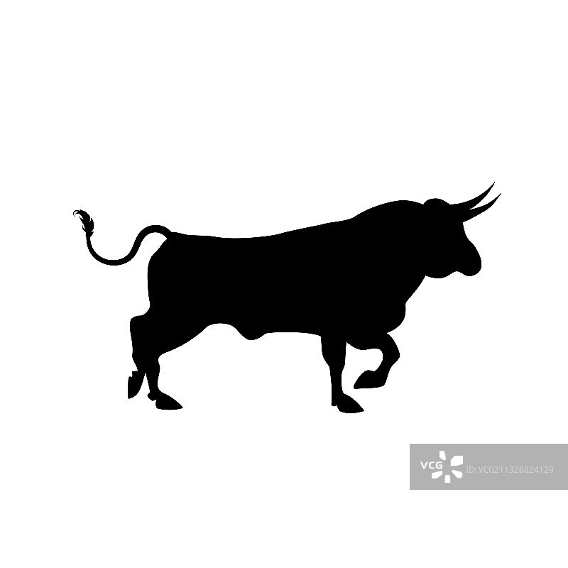 白色背景上的公牛轮廓图片素材