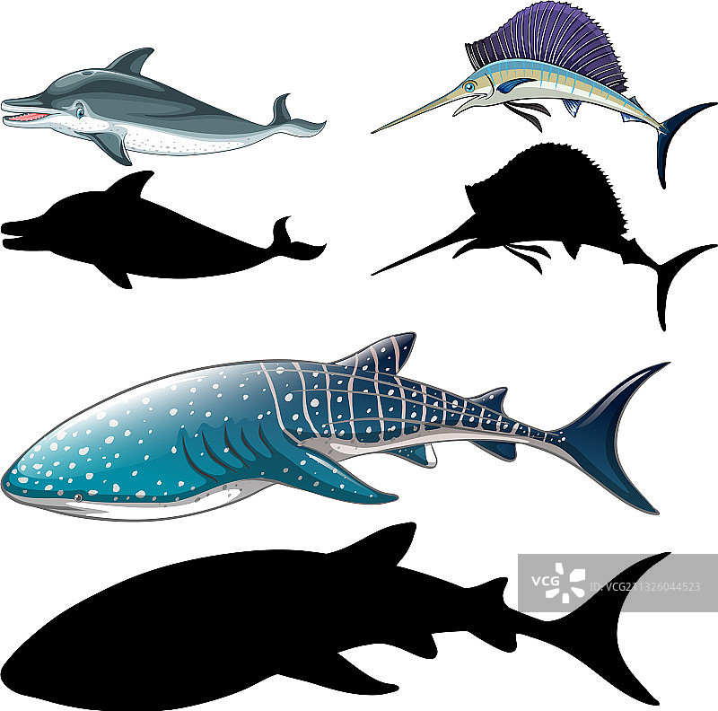 鱼类角色及其轮廓合集图片素材