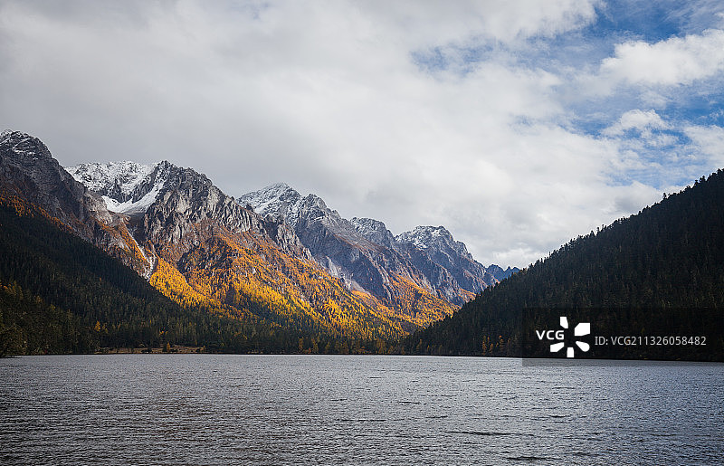 蓝天多云天空下阳光洒在湖边雪山深秋的黄树林上图片素材