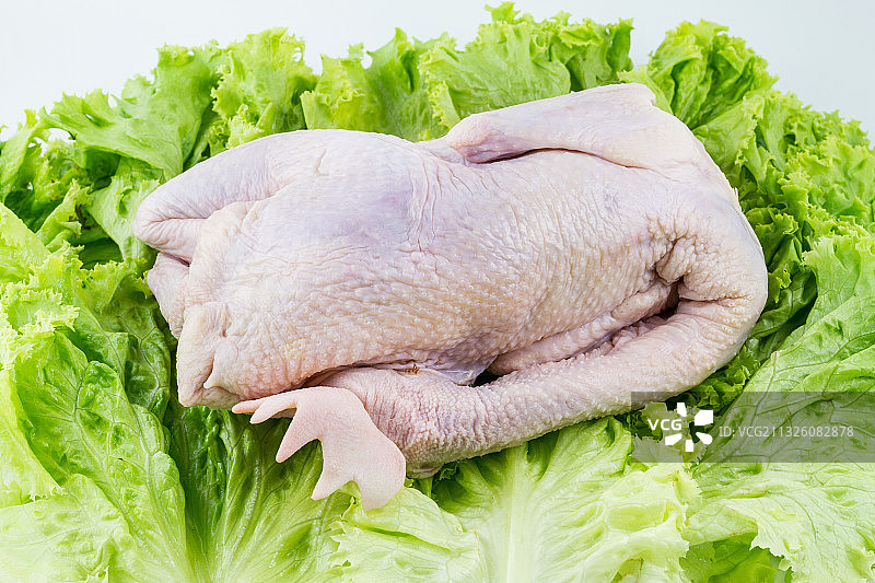 一只新鲜的鸡图片素材