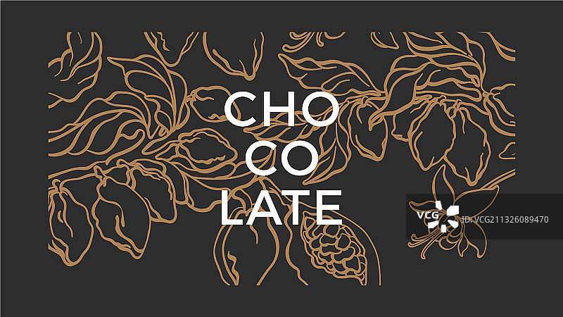 可可背景天然巧克力植物图片素材