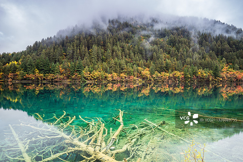 九寨沟镜海秋季自然风光图片素材