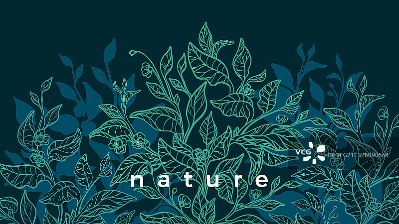 茶树艺术背景图片素材