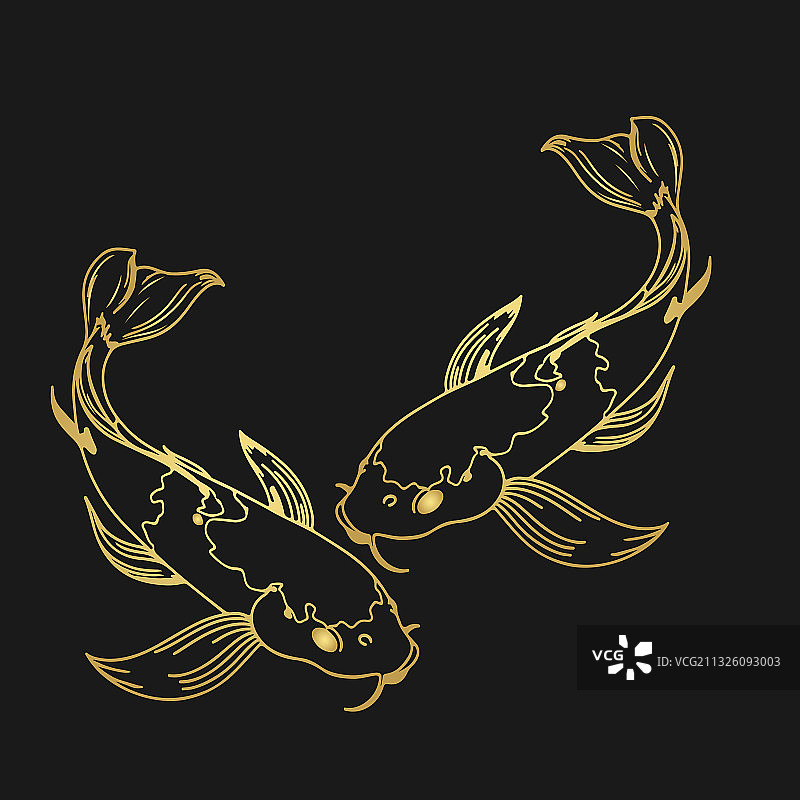 锦鲤、日本象征、幸运图片素材