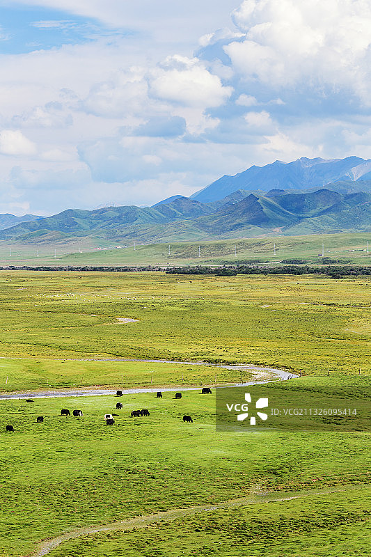 青海祁连山图片素材