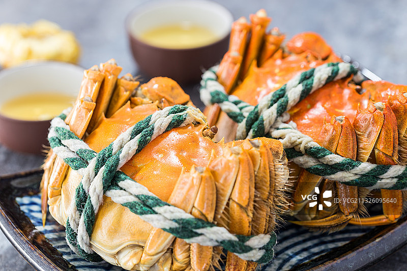 大闸蟹特写图片素材