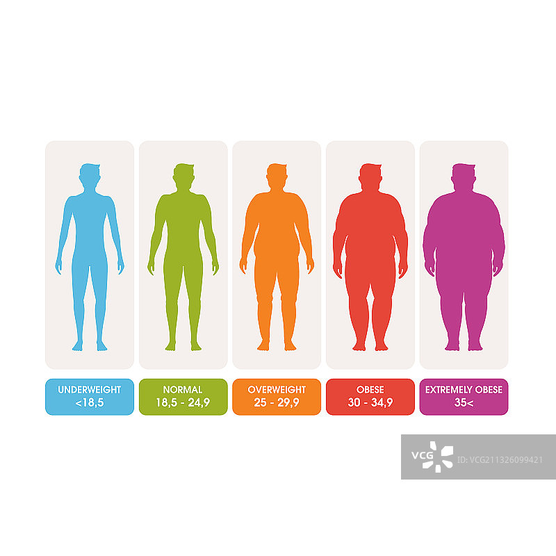身体质量指数图片素材