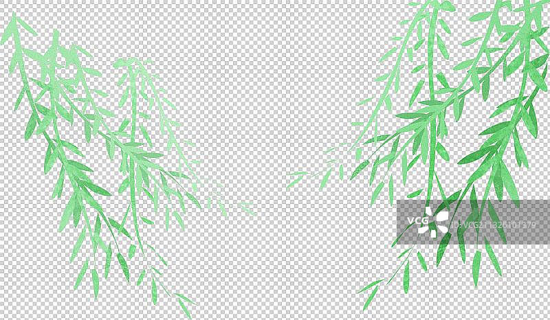 垂柳元素图片素材