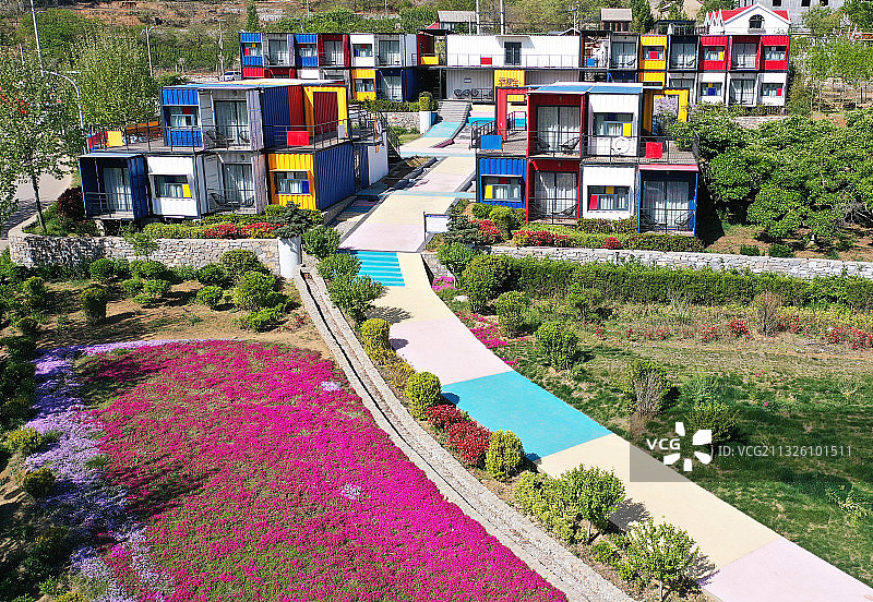 山东枣庄山亭区翼云湖畔的集装箱民宿与绽放的芝樱花相映成景图片素材