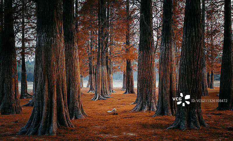 塔川秋色图片素材