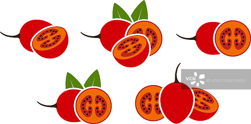 树番茄图片素材