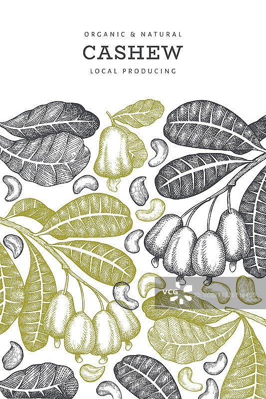 手绘腰果设计模板图片素材