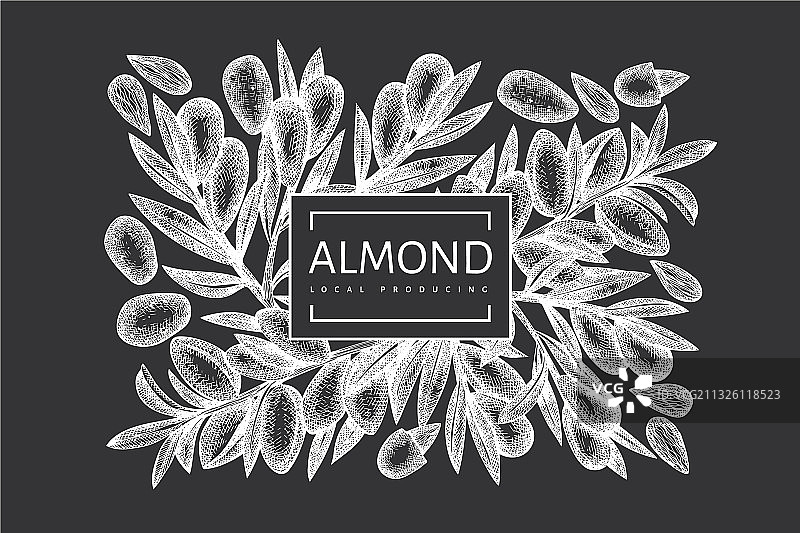 手绘杏仁设计模板图片素材
