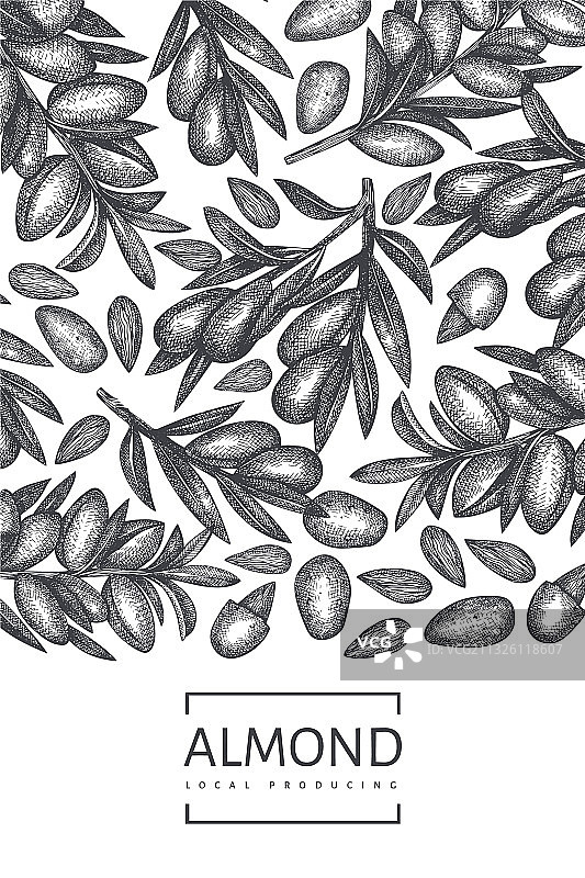 手绘杏仁设计模板图片素材