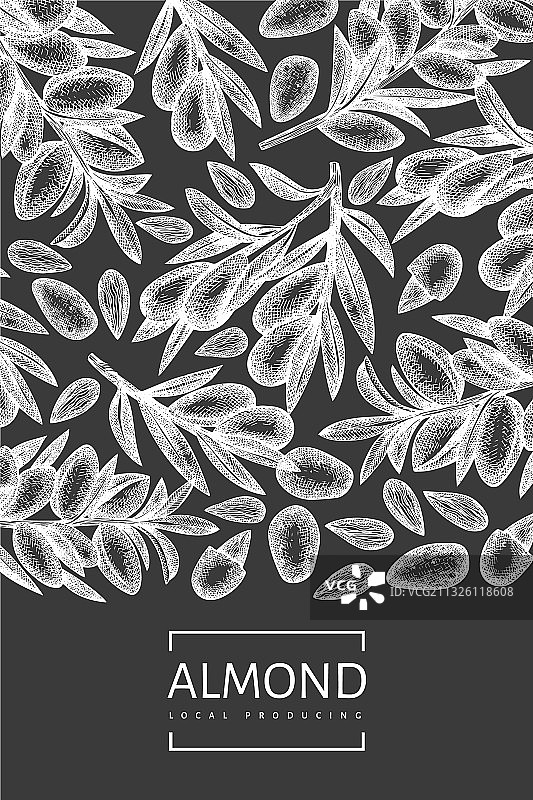 手绘杏仁设计模板图片素材